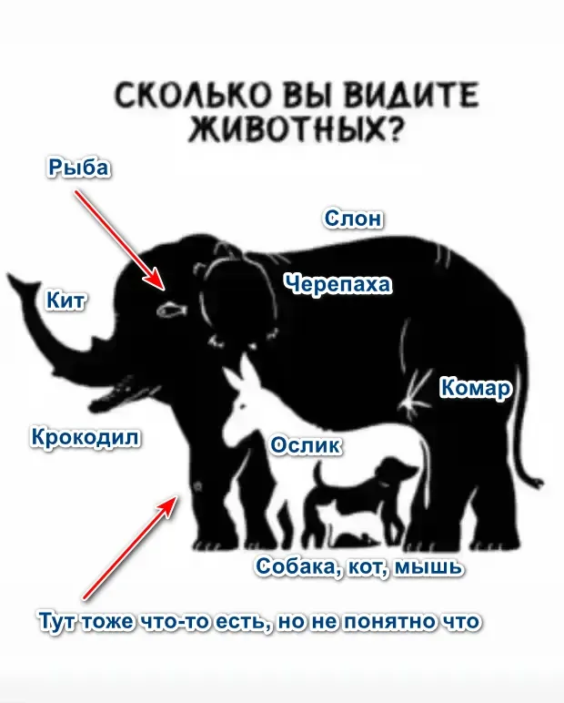 Еще одна головоломка. #2