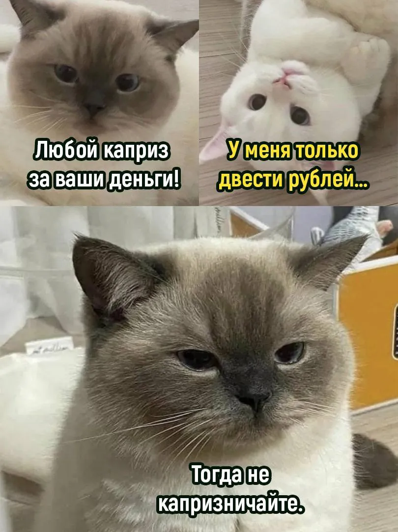 Немного милоты на сон грядущий #1