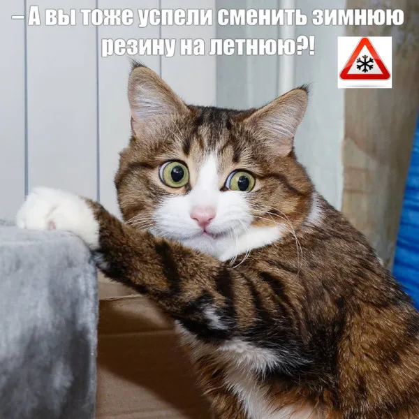 Тут это, то самое #1