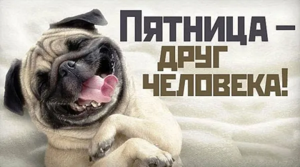Пятница - друг человека #2