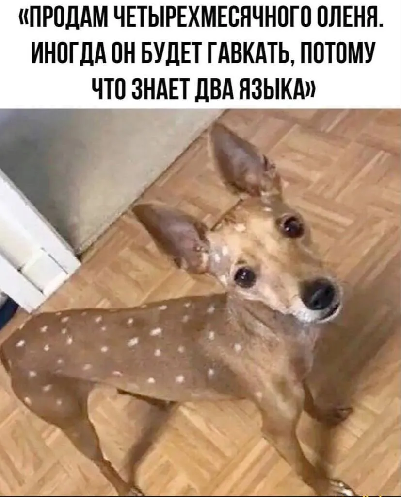 Доброе утро #1