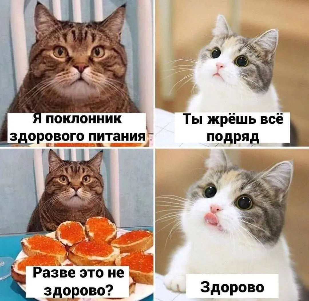 Здоровое питание #1