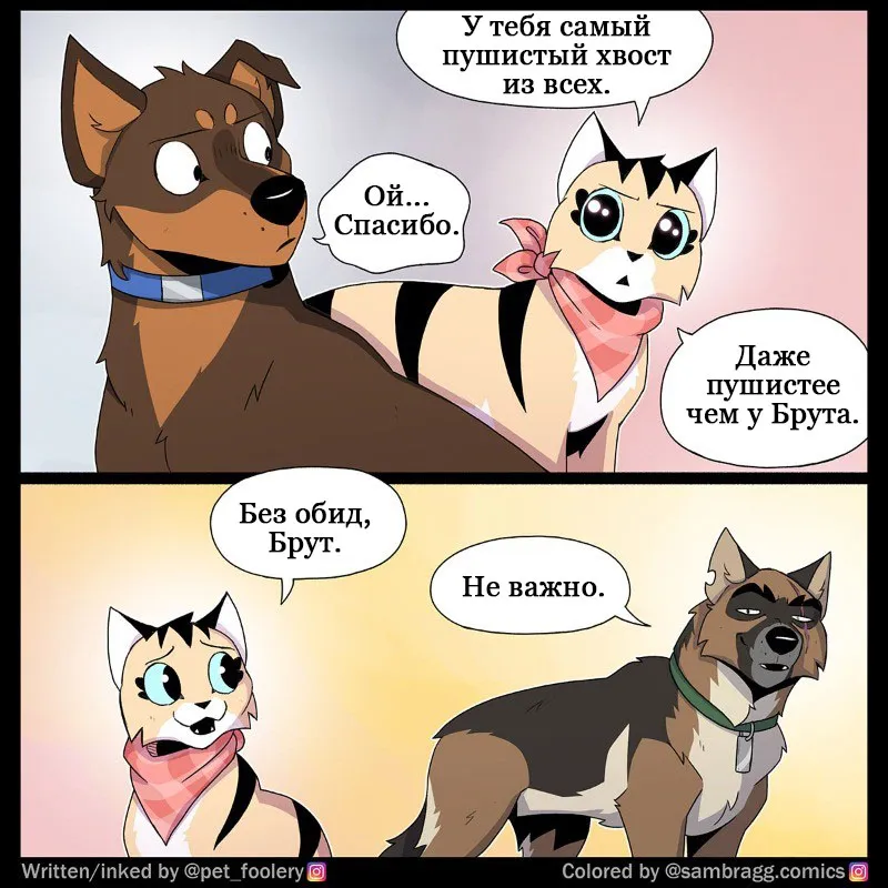 Pixie & Brutus - Fluffy #3