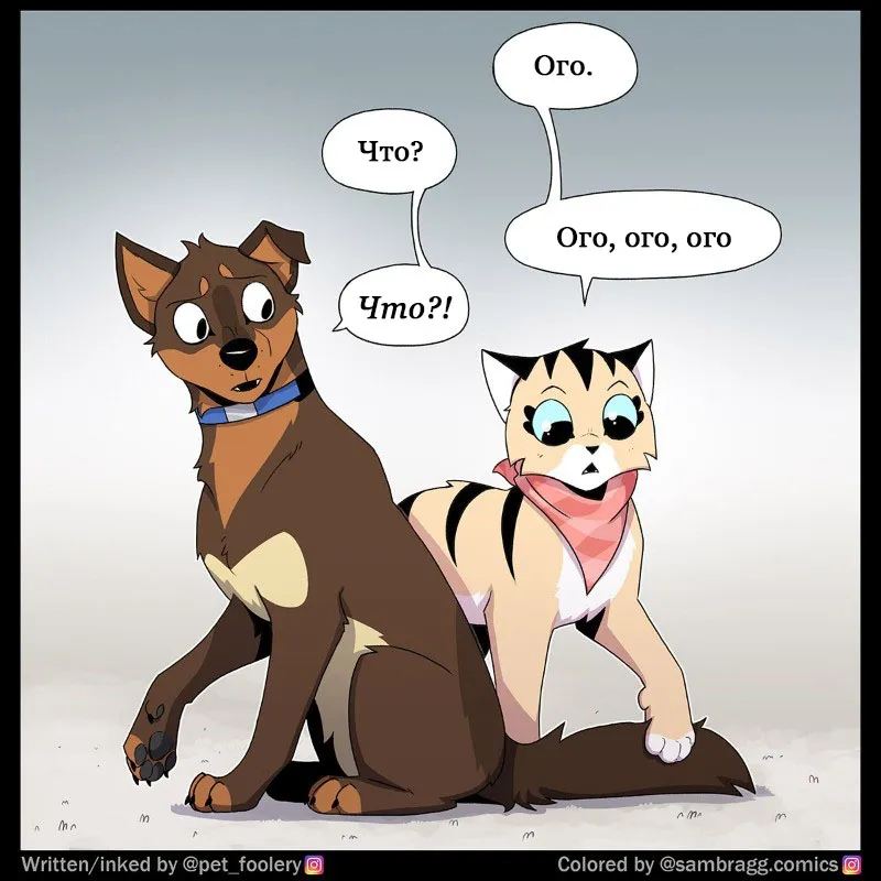 Pixie & Brutus - Fluffy #2