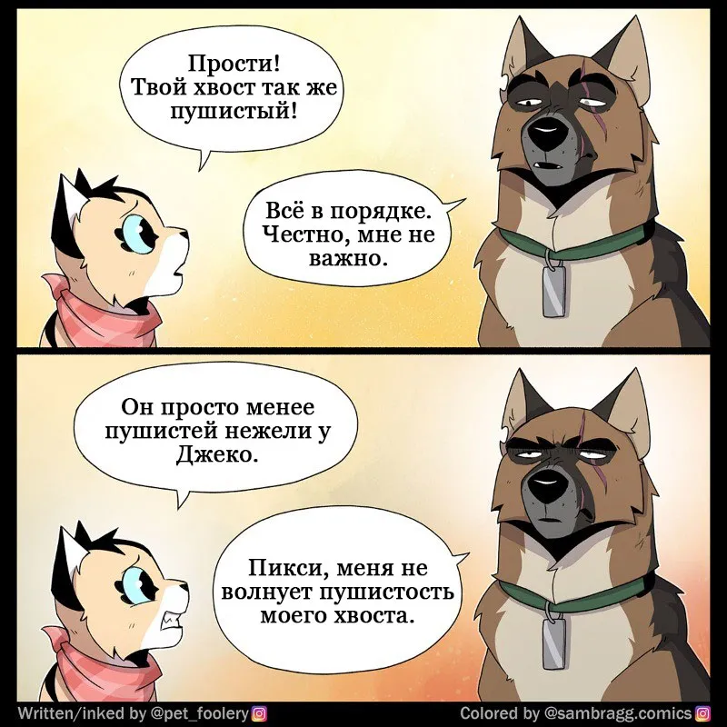 Pixie & Brutus - Fluffy #4