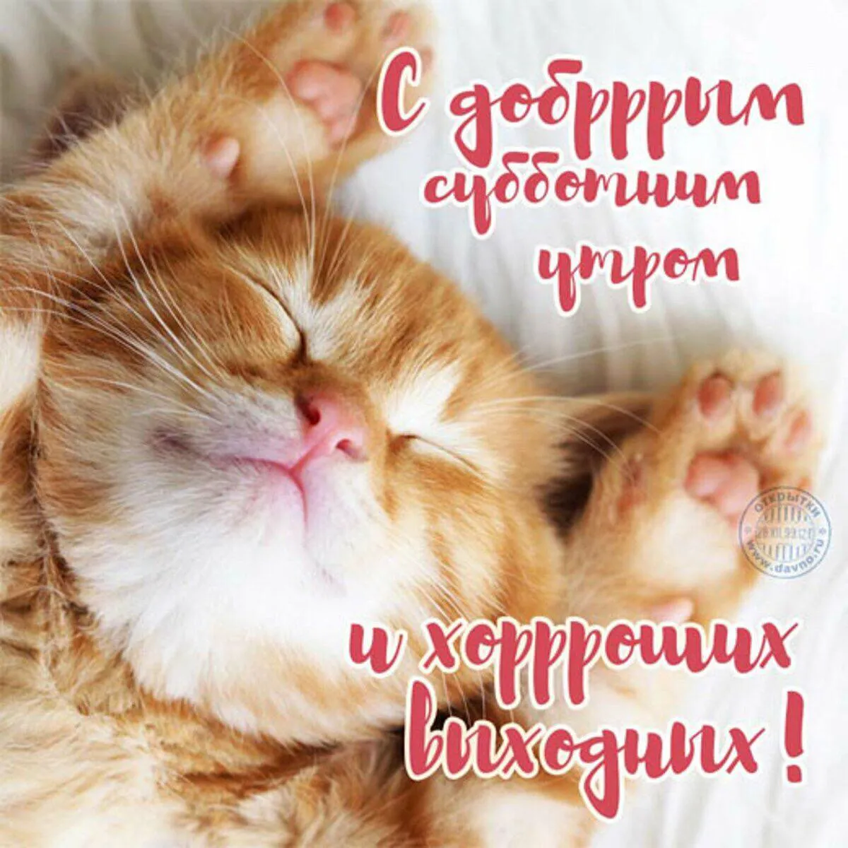 Привет👋 #1