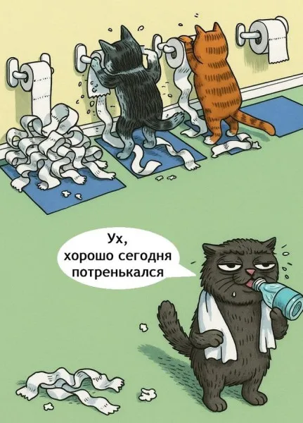 Тренажёрный зал для котов #1