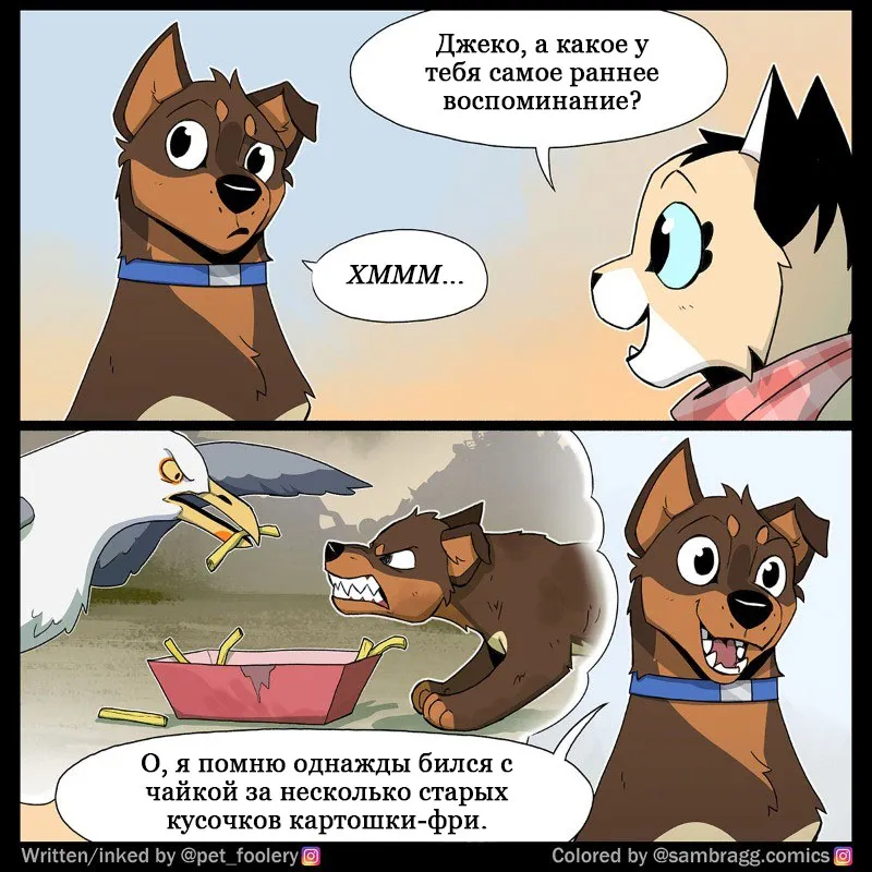Pixie & Brutus - Memory #4