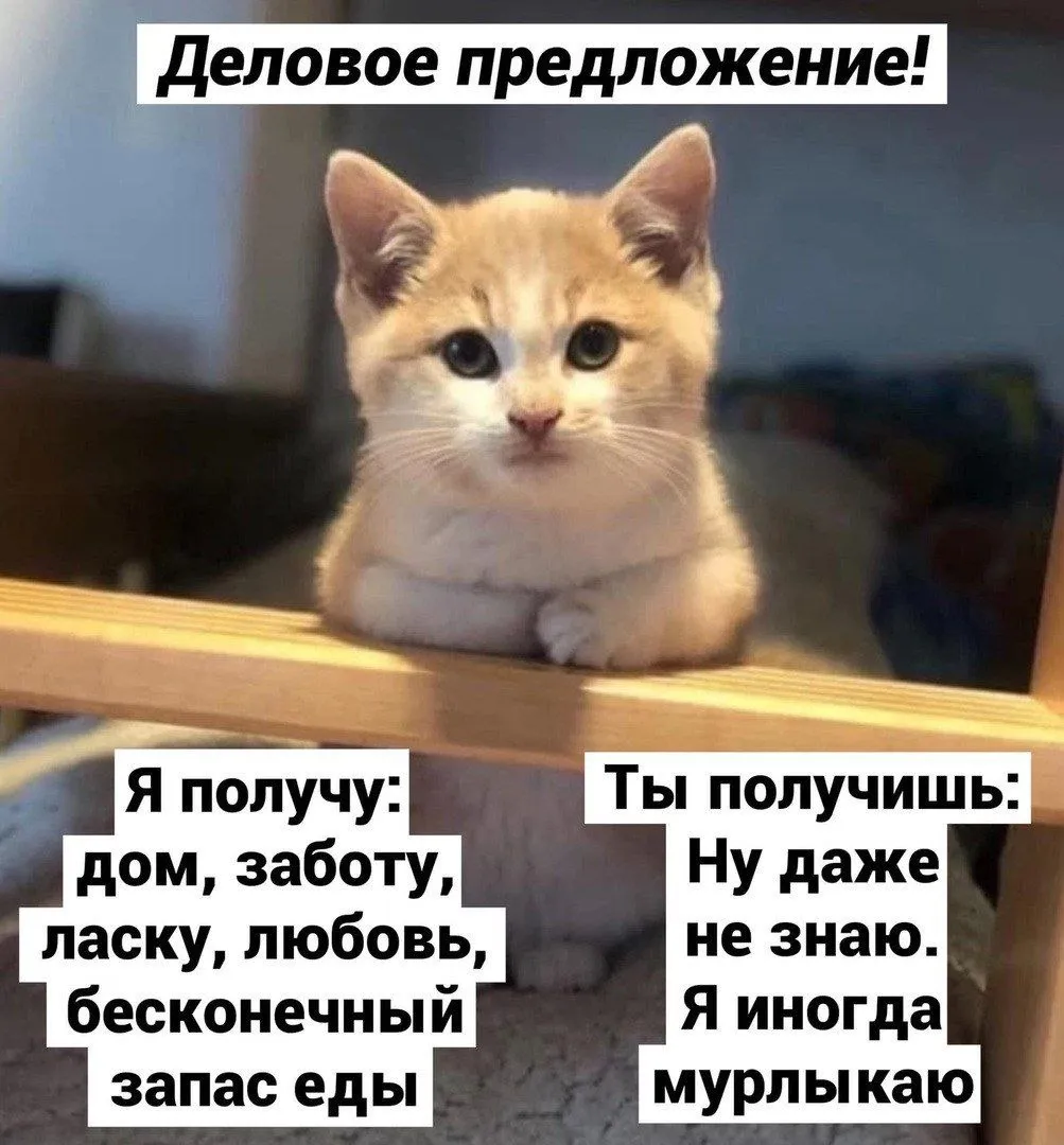 Деловое предложение #1