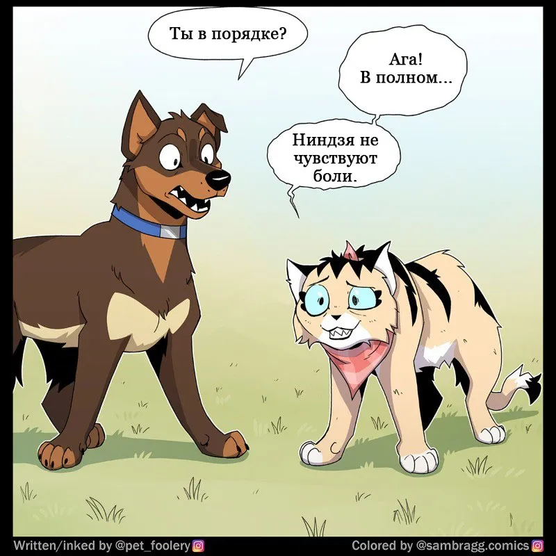 Pixie & Brutus - Wall #6