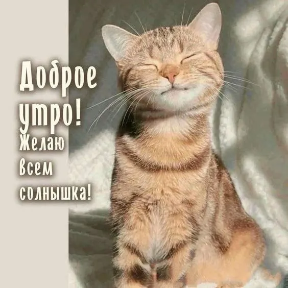 Доброе утро #1