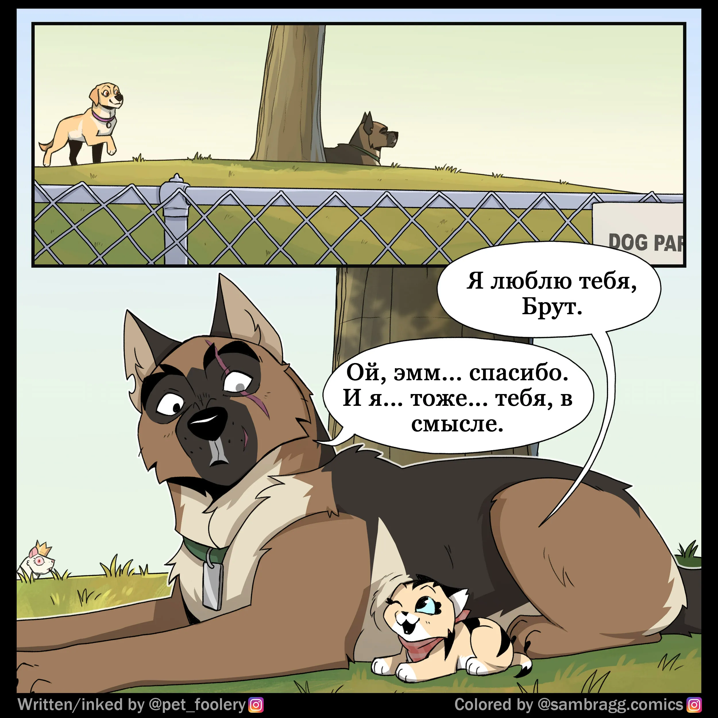 Pixie & Brutus - Translator (2024.02.23) #2