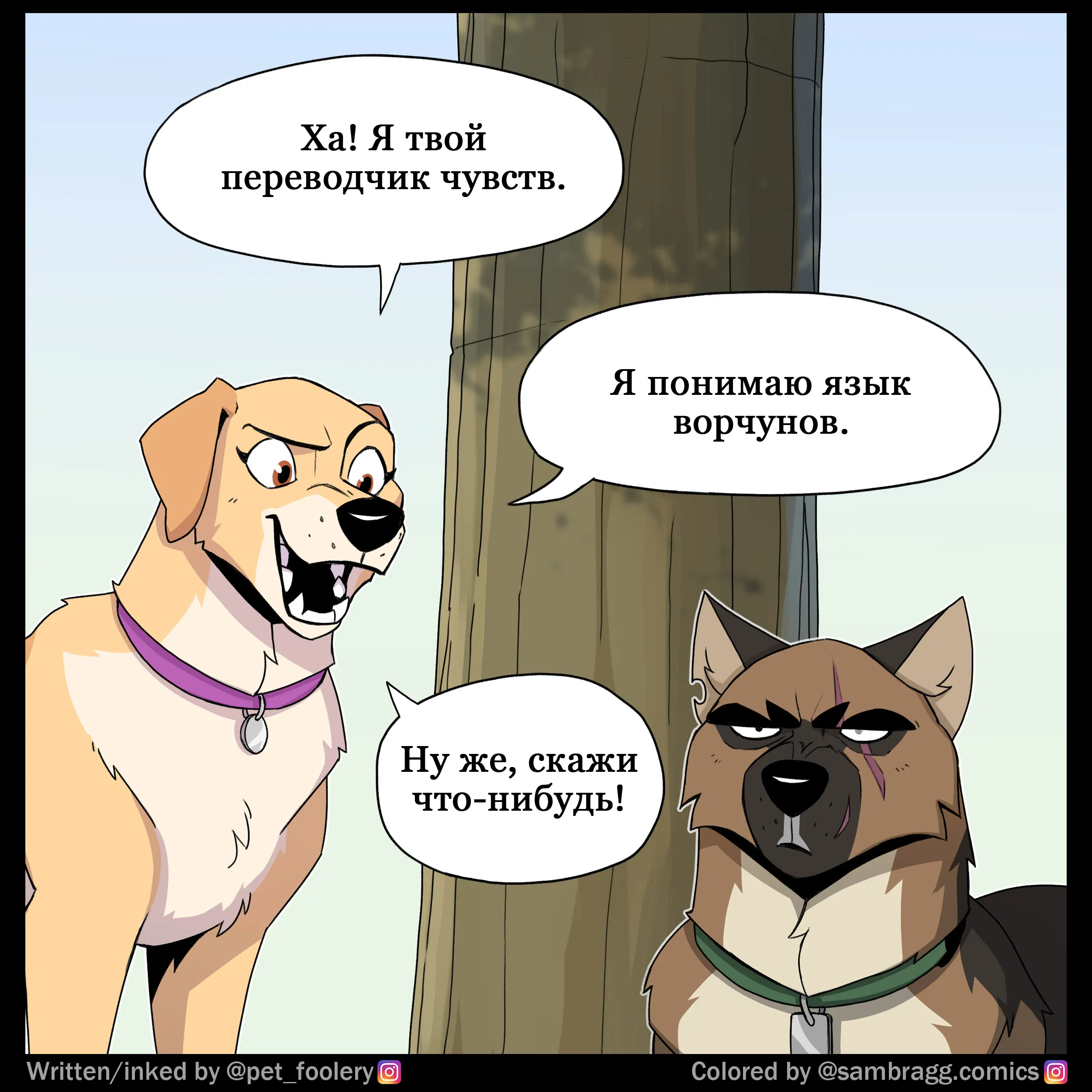 Pixie & Brutus - Translator (2024.02.23) #4