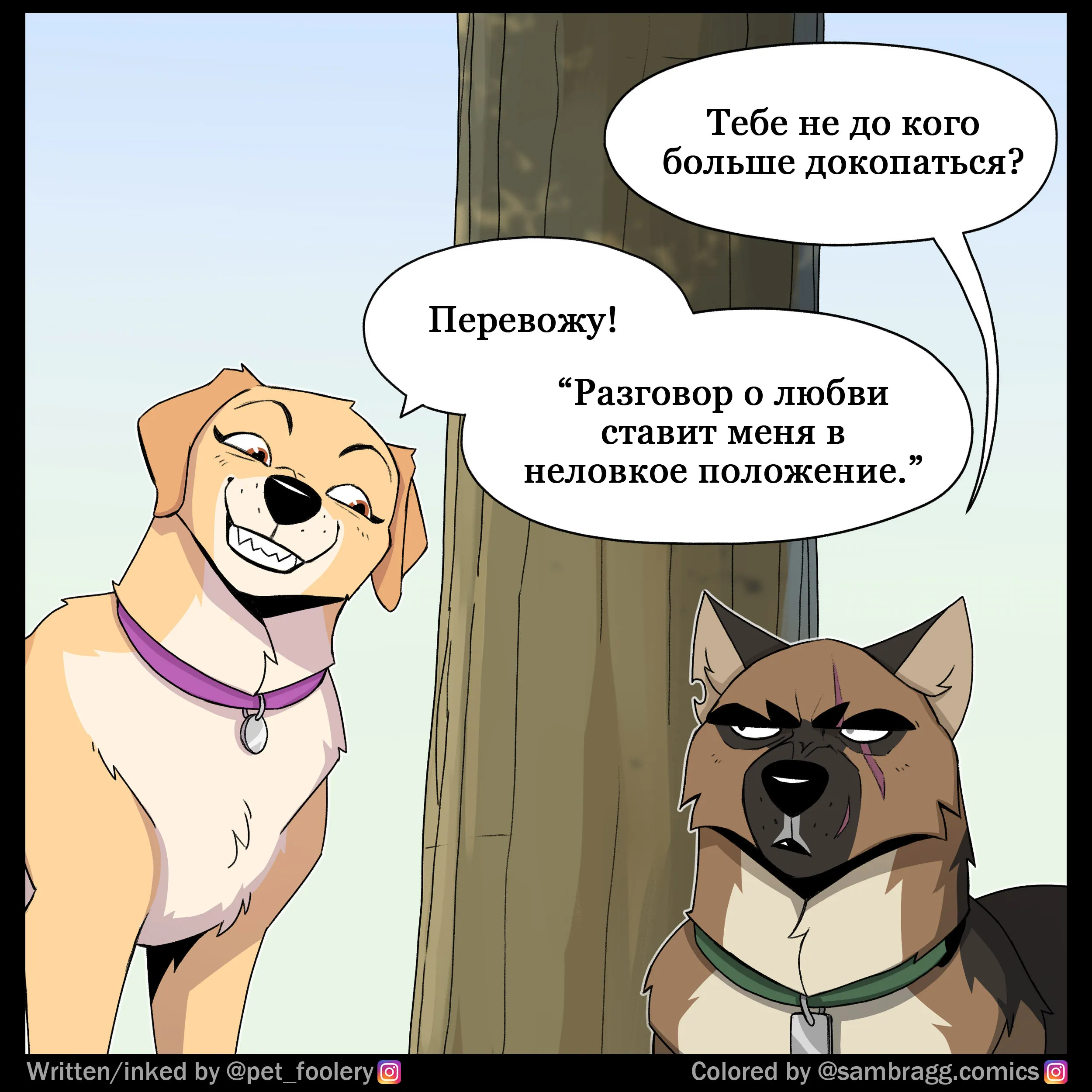 Pixie & Brutus - Translator (2024.02.23) #5