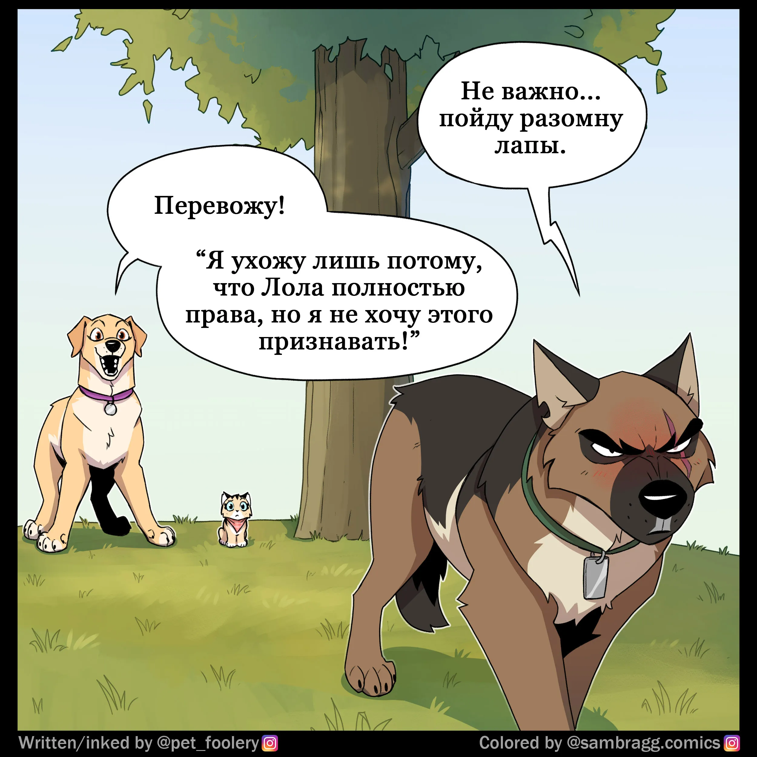 Pixie & Brutus - Translator (2024.02.23) #6