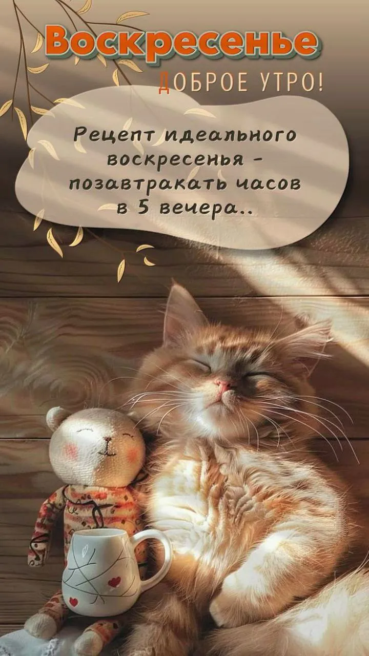 Доброго вечера #1