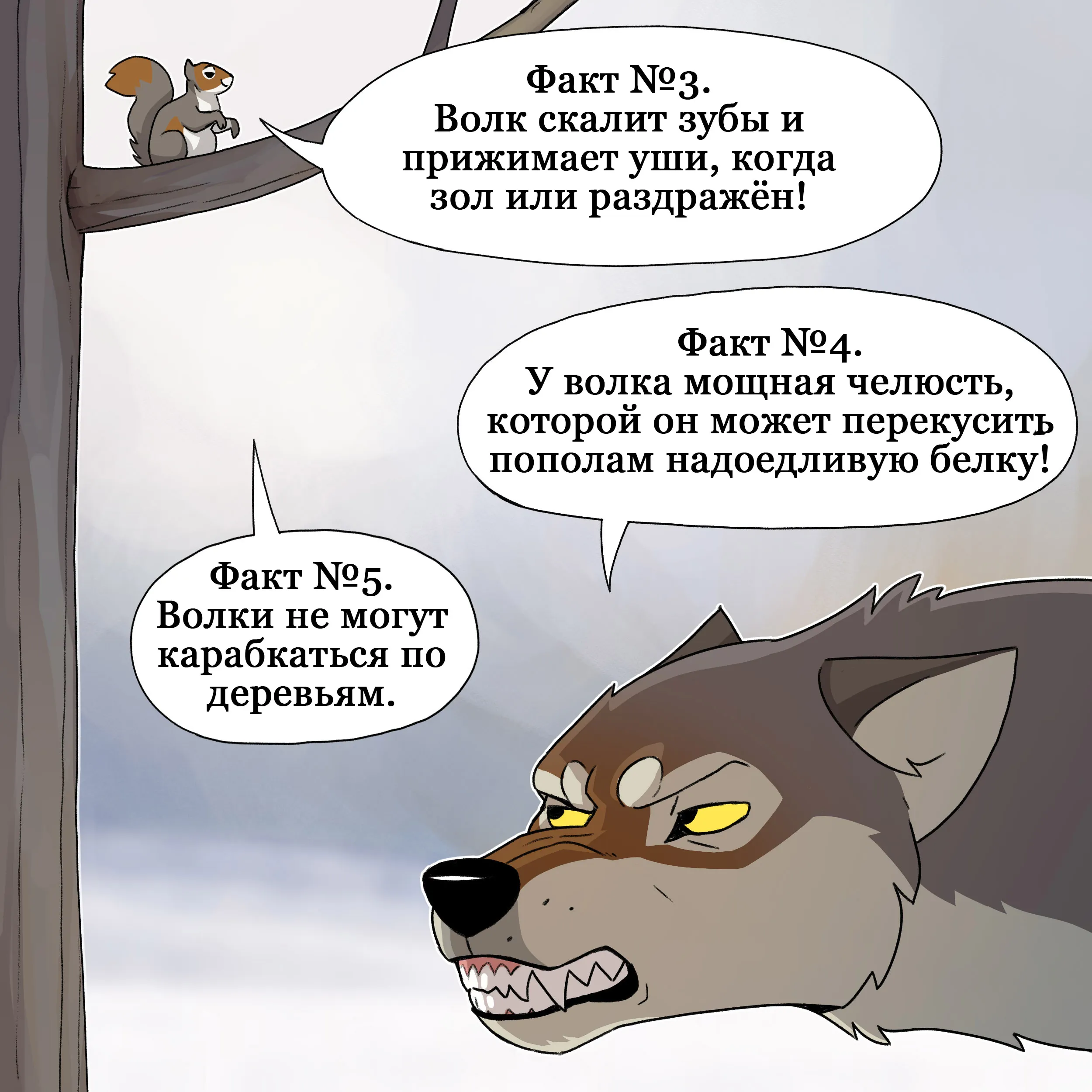 Wolf facts (2024.04.25) #3