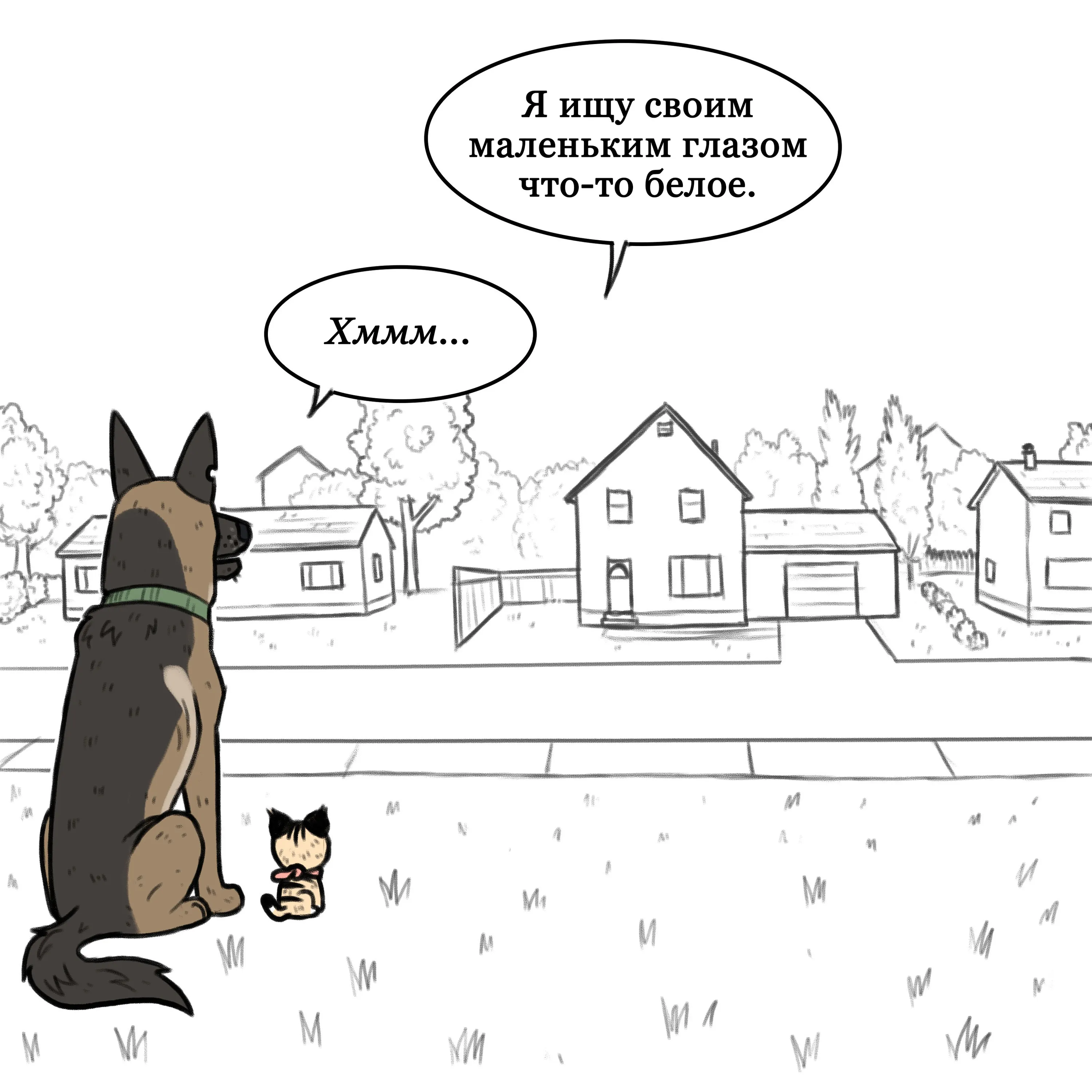 Pixie & Brutus - I spy (2020.03.10) #2