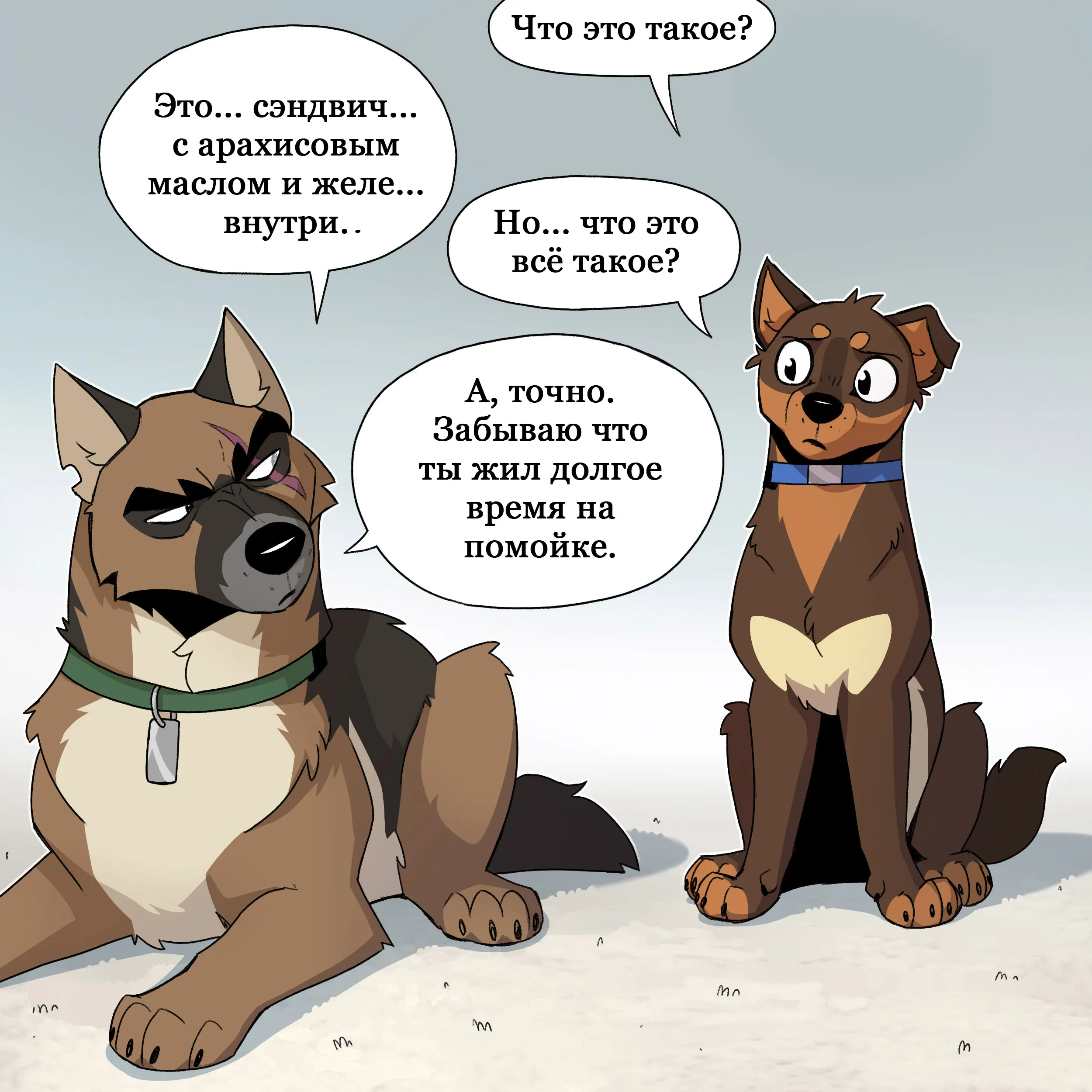 Pixie & Brutus - PBJ (2024.05.14) #3