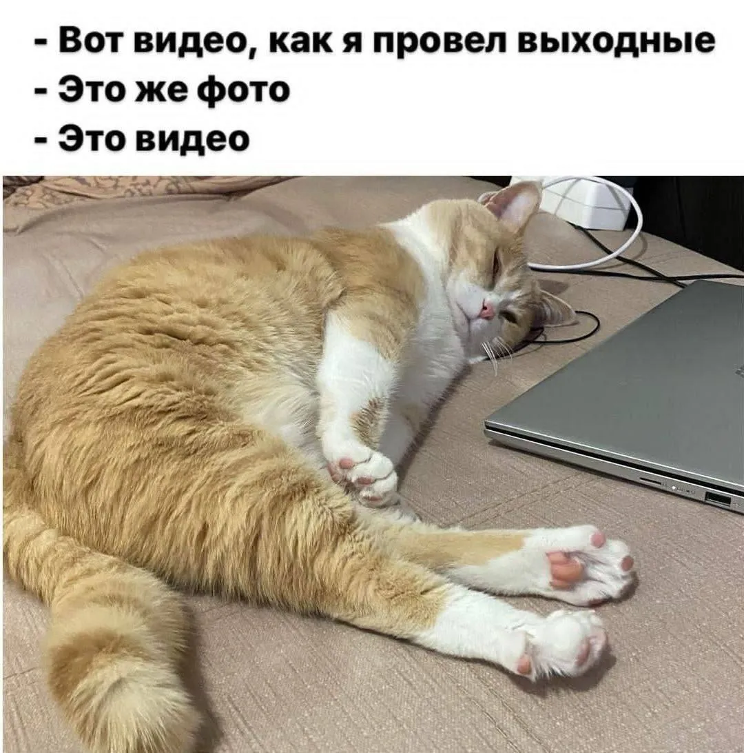 Доброй ночи #1