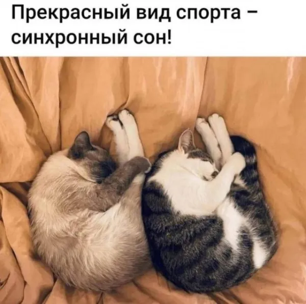 Доброй ночи #1