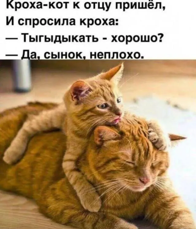 Доброй ночи #1
