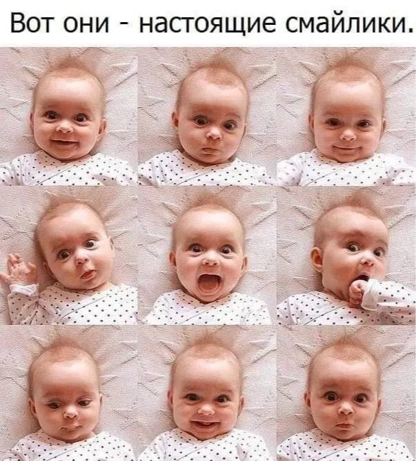 Плановая проверка мимиметров на прочность #2