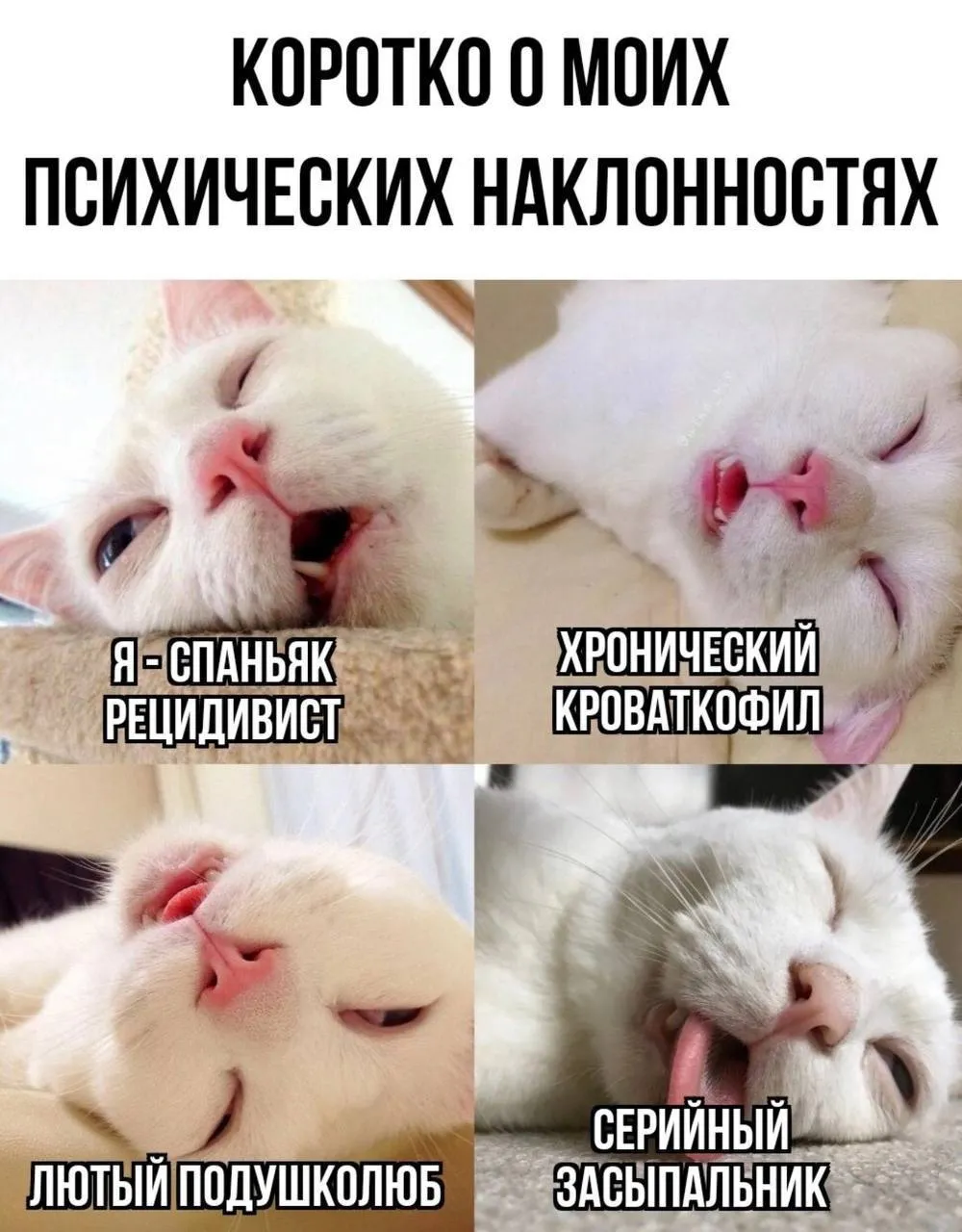Планы на выходные #1