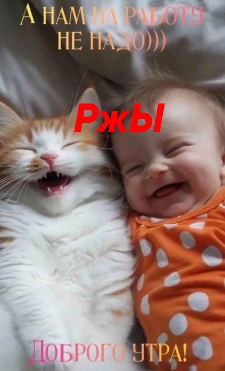 Доброе утро #1