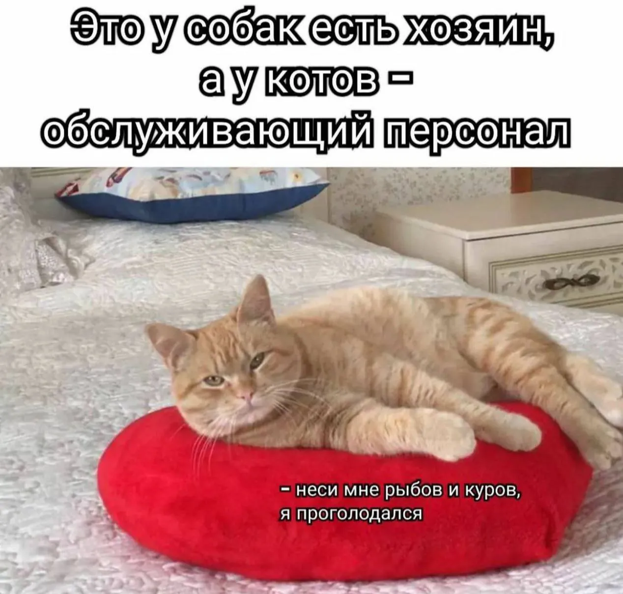 Когда обслуживающий персонал вовремя не встаёт #2