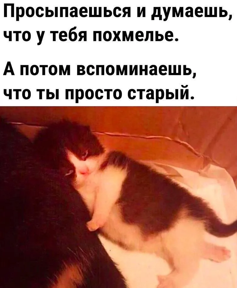 Немного утренней мотивации #1