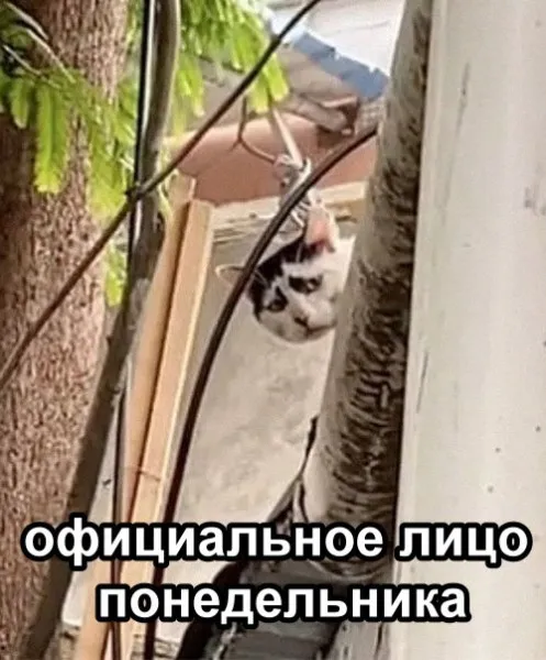 Первое сентября - понедельник #1