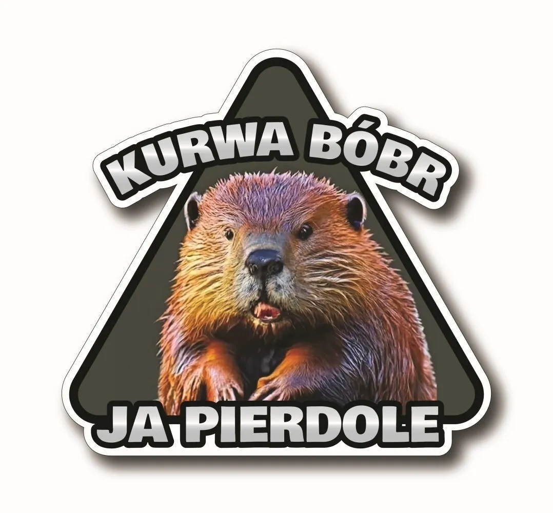 Понедельник, bobr-kurwa #1