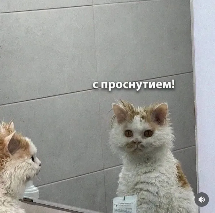 Доброе воскресное утро #1