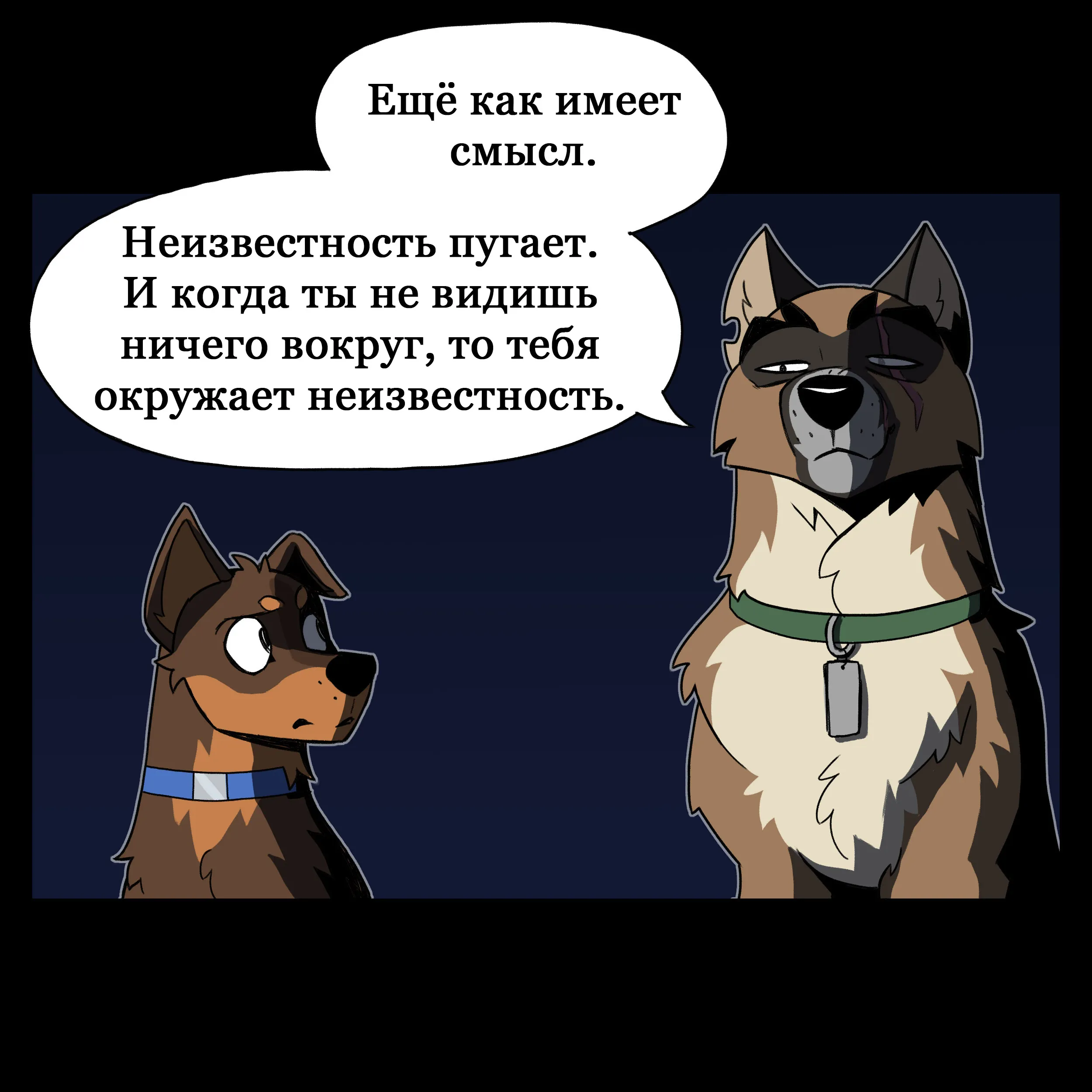 Pixie & Brutus - Unknown (2024.08.22) #2