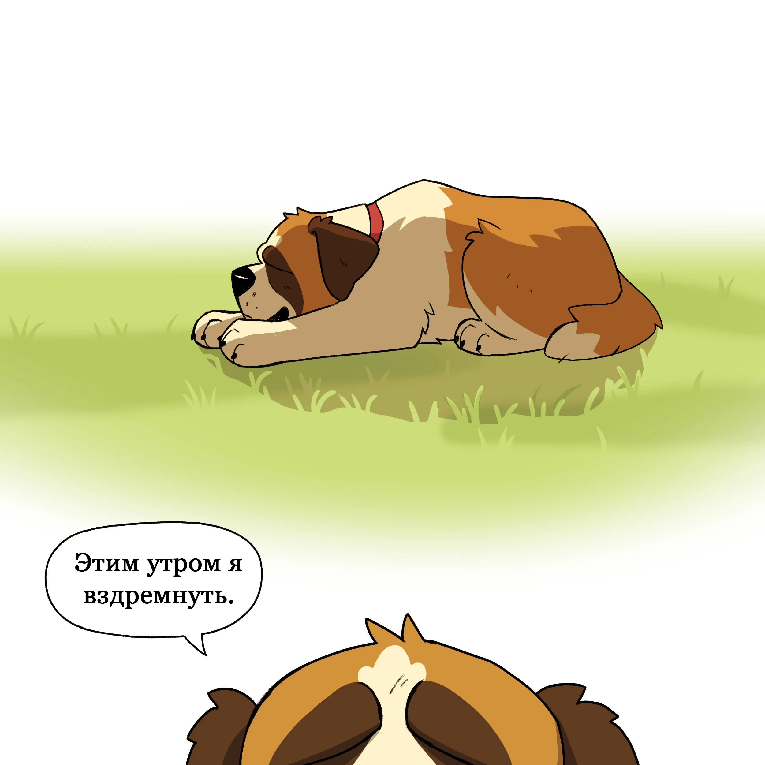 Pixie & Brutus - Nap (2024.08.23) #3