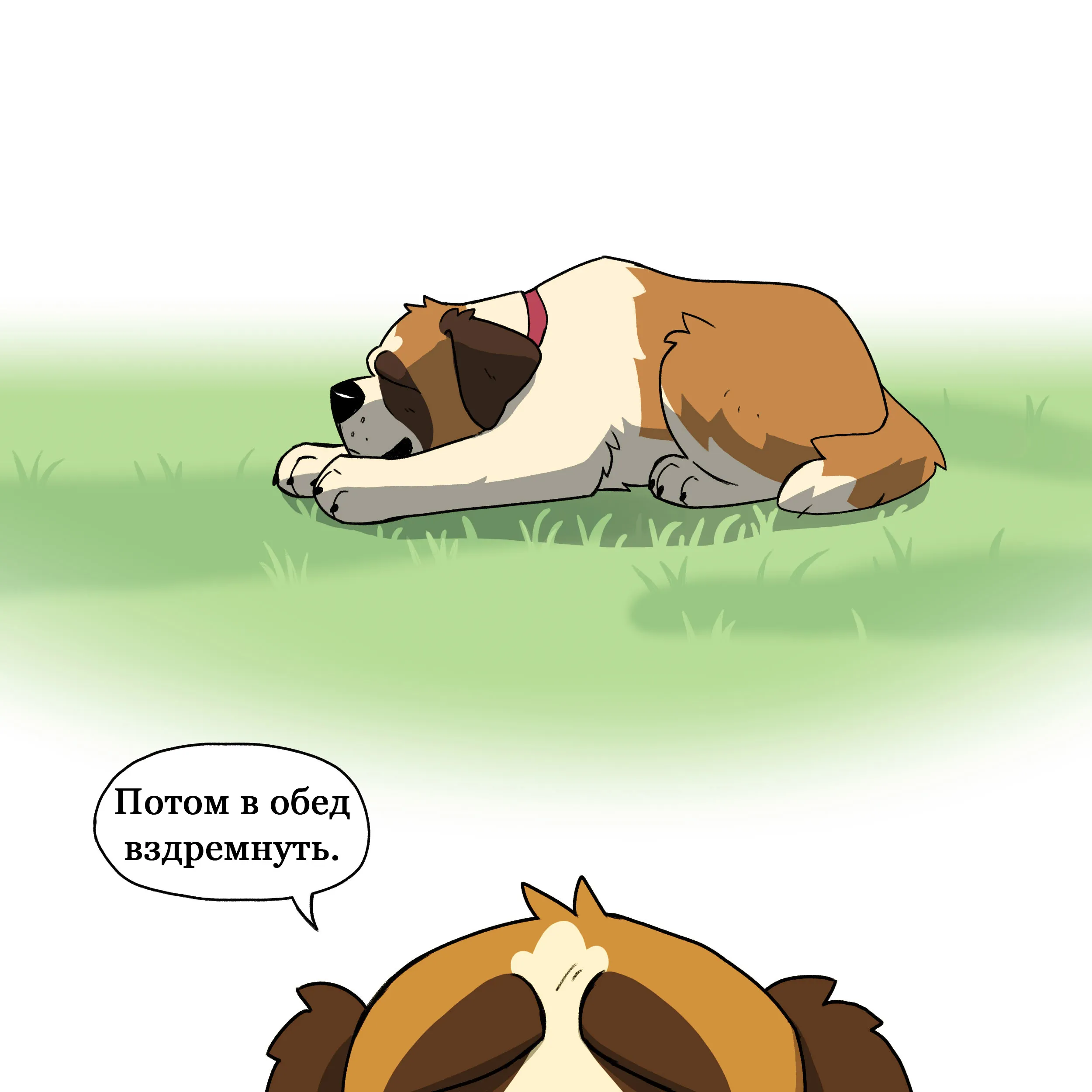 Pixie & Brutus - Nap (2024.08.23) #4