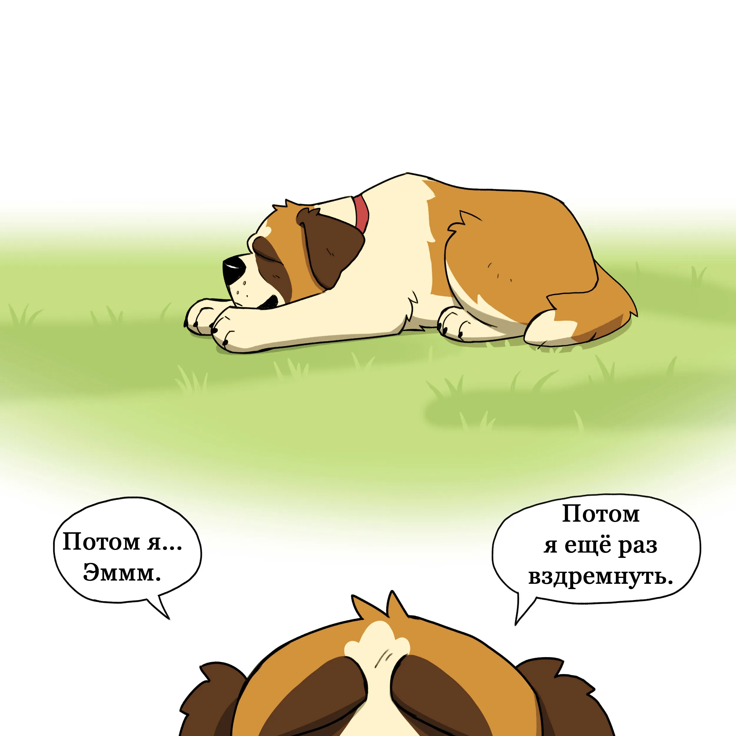 Pixie & Brutus - Nap (2024.08.23) #5