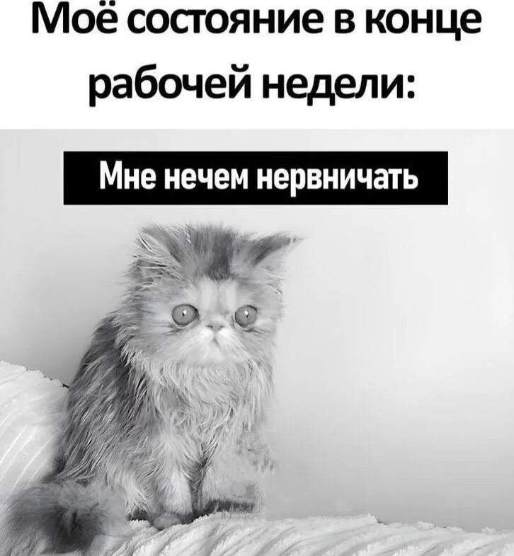 Конец раб.недели #2