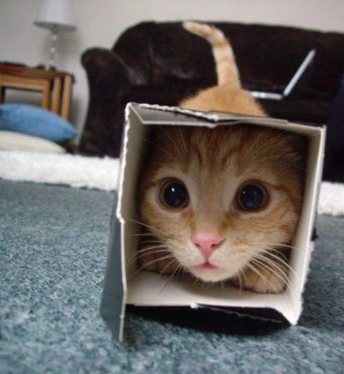 Уже утро? #1