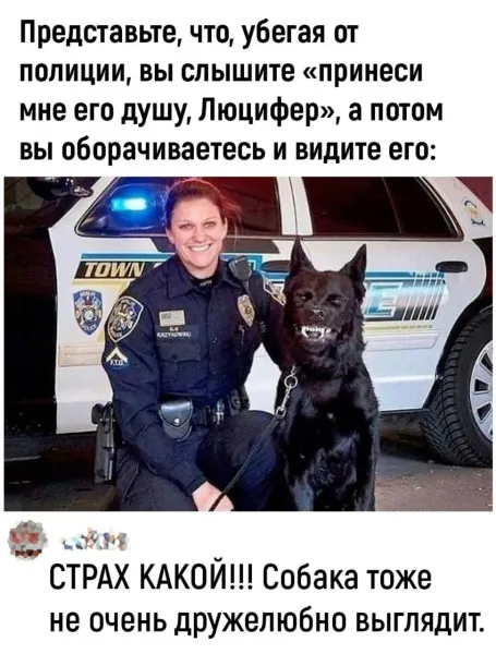 Законопослушным будет лучше #1