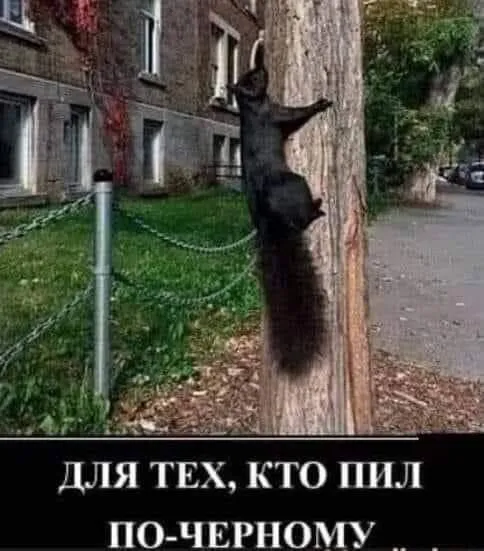 Чёрная пятница #1