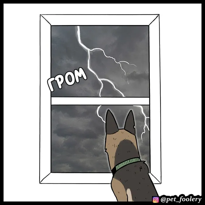Pixie & Brutus - Thunder #2