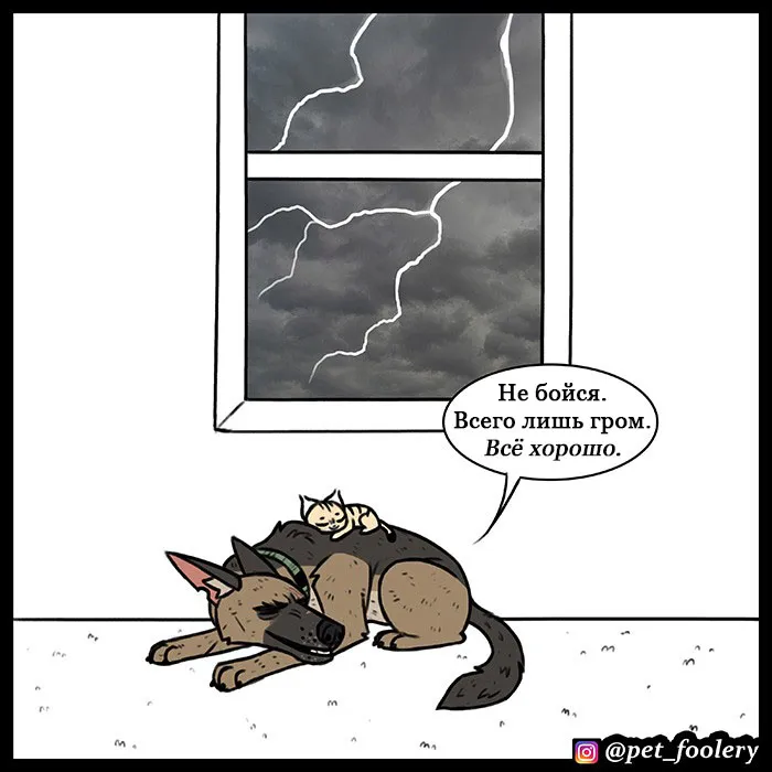 Pixie & Brutus - Thunder #8