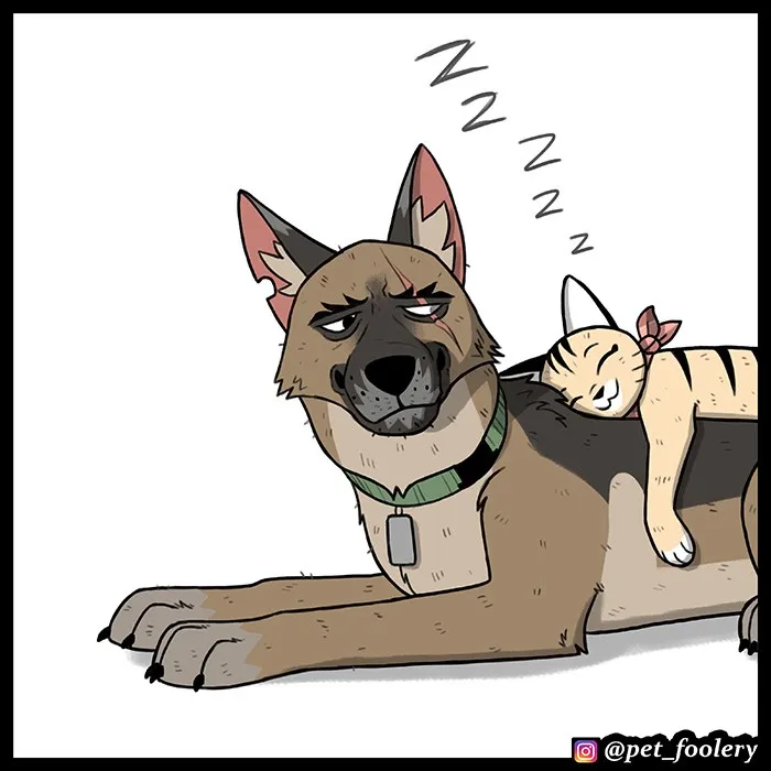 Pixie & Brutus - Time #8