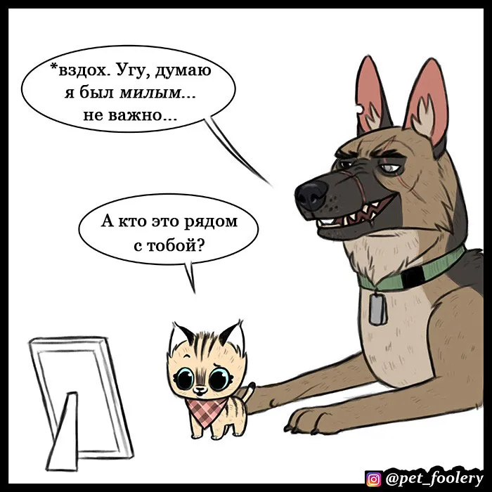 Pixie & Brutus - Handler #3