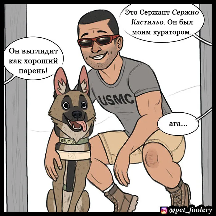 Pixie & Brutus - Handler #4