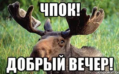 Без контекста. И, возможно, NSFW #1