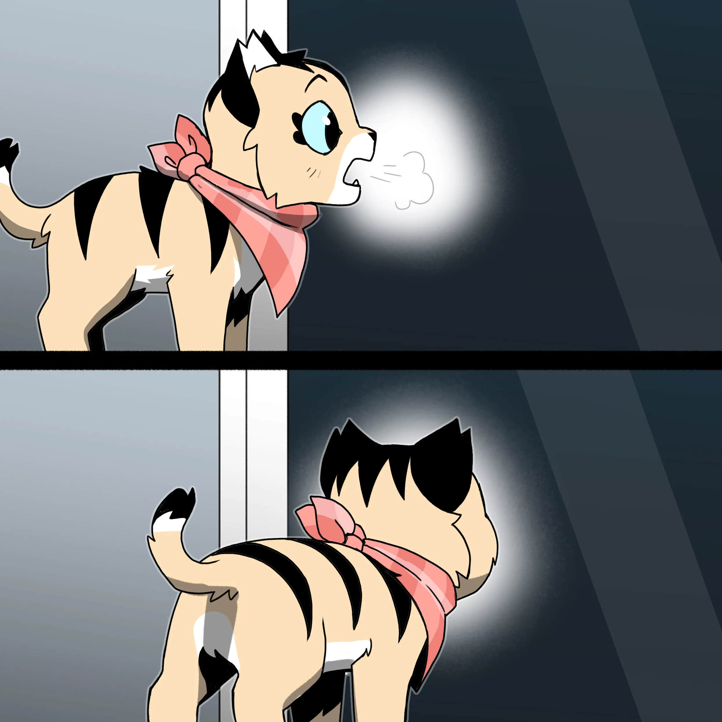 Pixie & Brutus - Fog (2024.11.08) #2