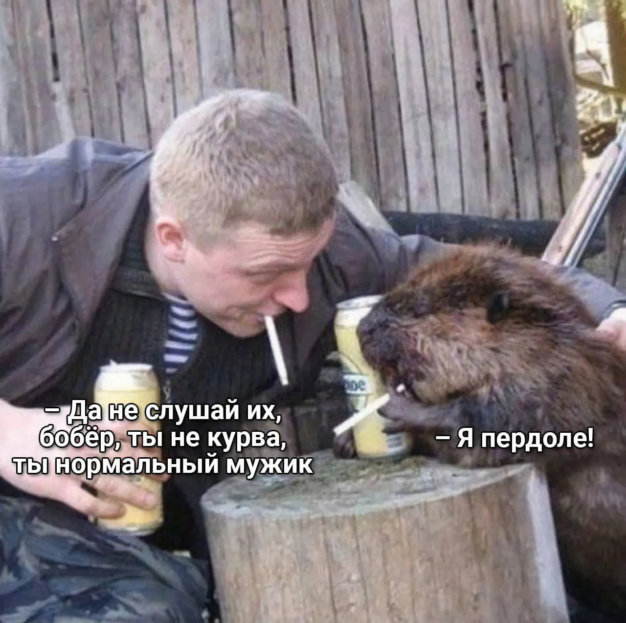 Понедельник, bobr kurwa #1